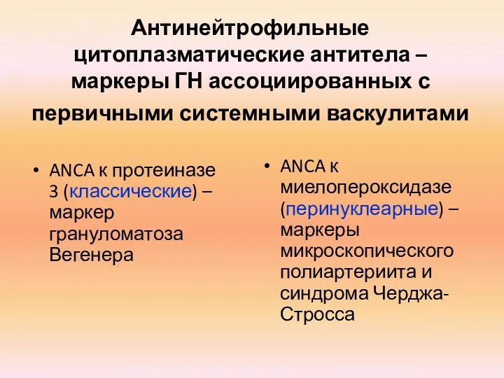 Антинейтрофильные цитоплазматические антитела – маркеры ГН ассоциированных с первичными системными