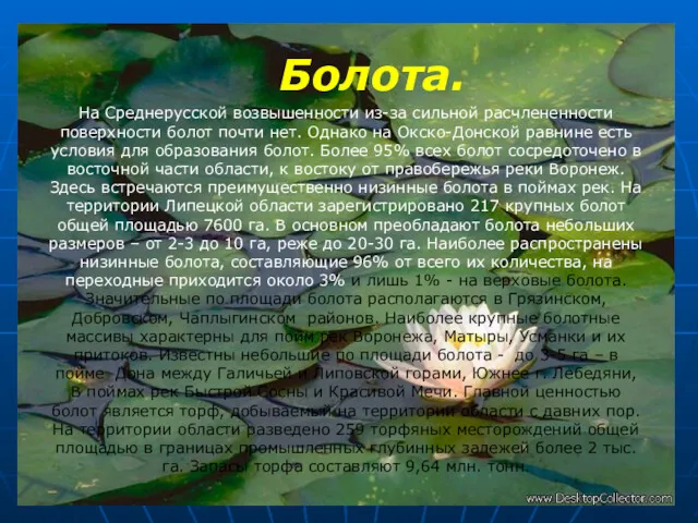 Болота. На Среднерусской возвышенности из-за сильной расчлененности поверхности болот почти