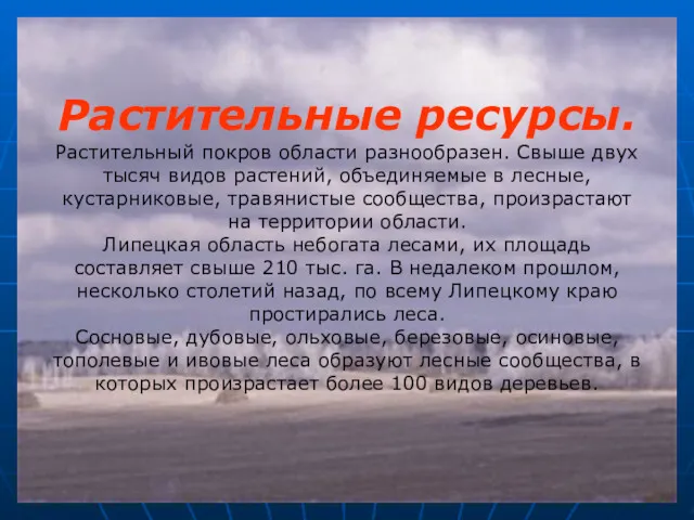 Растительные ресурсы. Растительный покров области разнообразен. Свыше двух тысяч видов