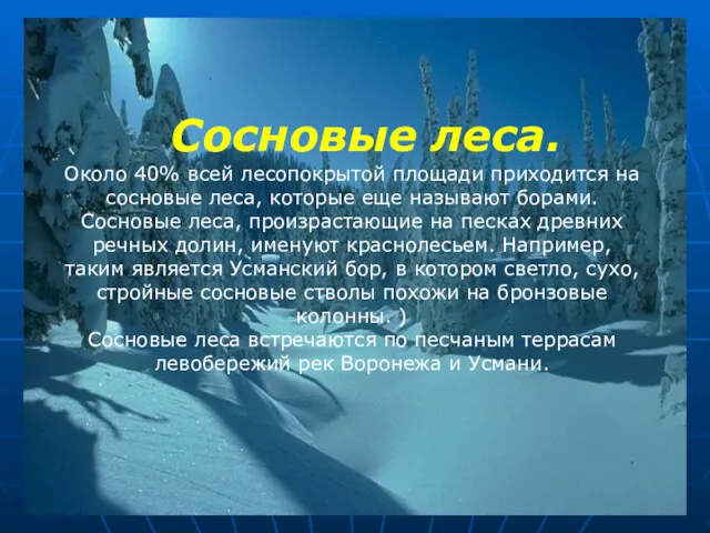 Сосновые леса. Около 40% всей лесопокрытой площади приходится на сосно­вые