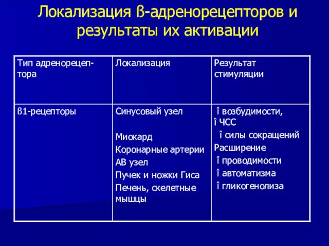 Локализация ß-адренорецепторов и результаты их активации