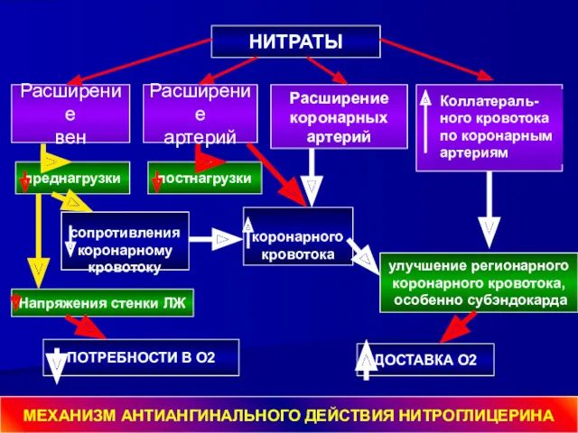 НИТРАТЫ Расширение вен Расширение артерий Расширение коронарных артерий Коллатераль- ного