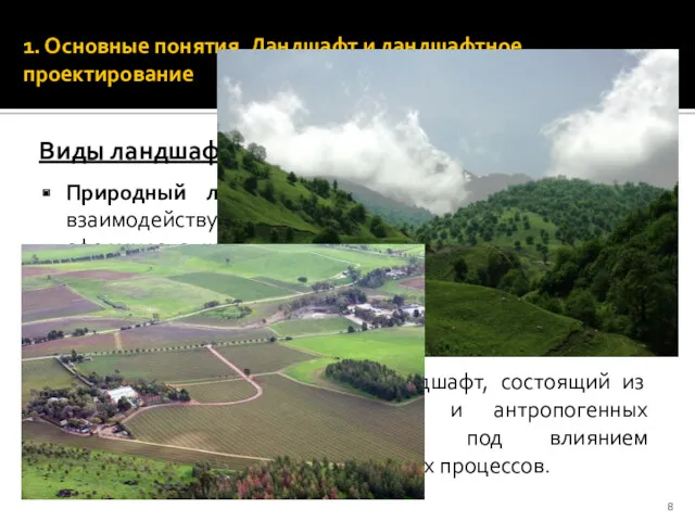 Виды ландшафта: Природный ландшафт – ландшафт, состоящий из взаимодействующих компонентов