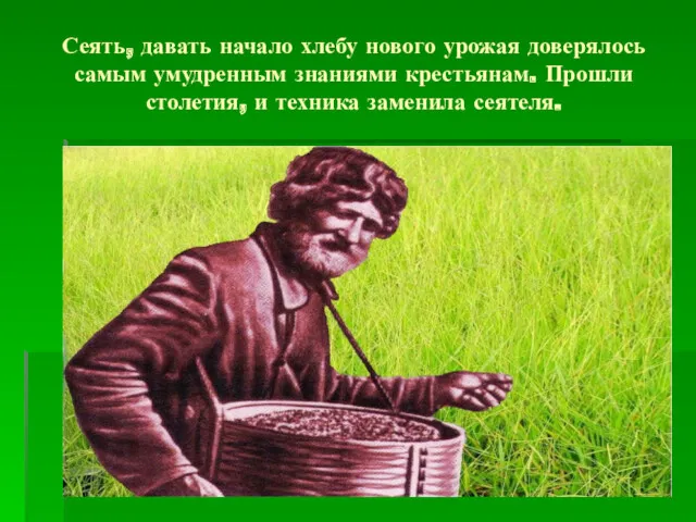 Сеять, давать начало хлебу нового урожая доверялось самым умудренным знаниями