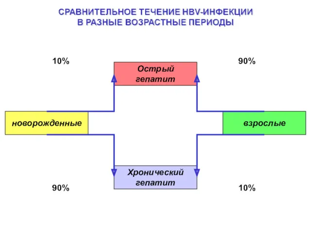 Острый гепатит Хронический гепатит новорожденные взрослые 10% 90% 90% 10%