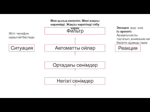 Ситуация Реакция Автоматты ойлар Ортадағы сенімдер Негізгі сенімдер Фильтр Жігіт