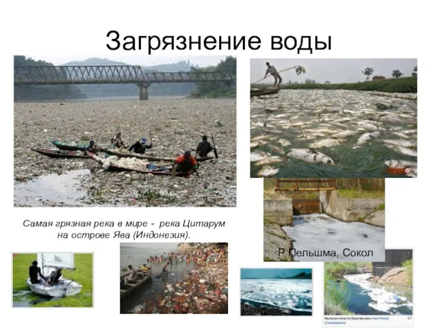 Загрязнение воды Самая грязная река в мире - река Цитарум