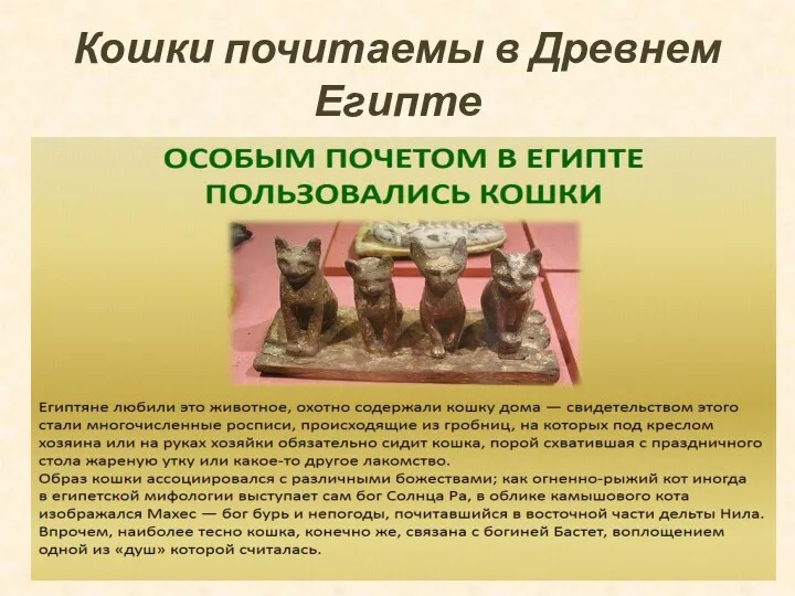 Кошки почитаемы в Древнем Египте