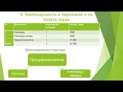 4. Необходимость в персонале и их оплата труда Организационная структура