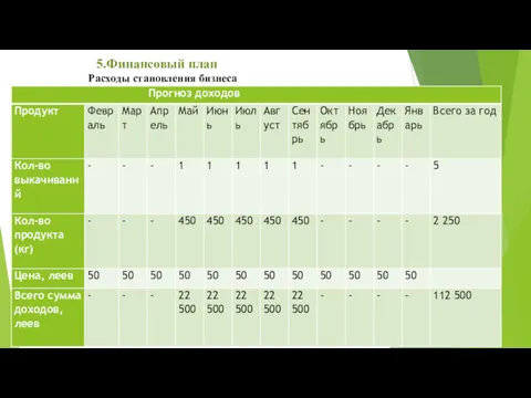 5.Финансовый план Расходы становления бизнеса