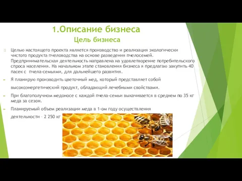 1.Описание бизнеса Цель бизнеса Целью настоящего проекта является производство и