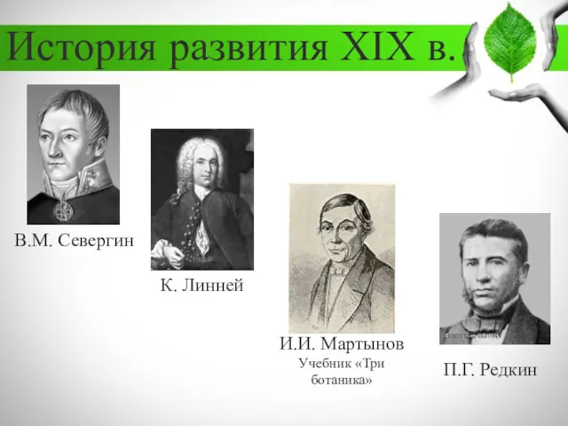 История развития XIX в. В.М. Севергин К. Линней И.И. Мартынов Учебник «Три ботаника» П.Г. Редкин