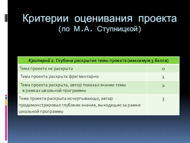 Критерии оценивания проекта (по М.А. Ступницкой)