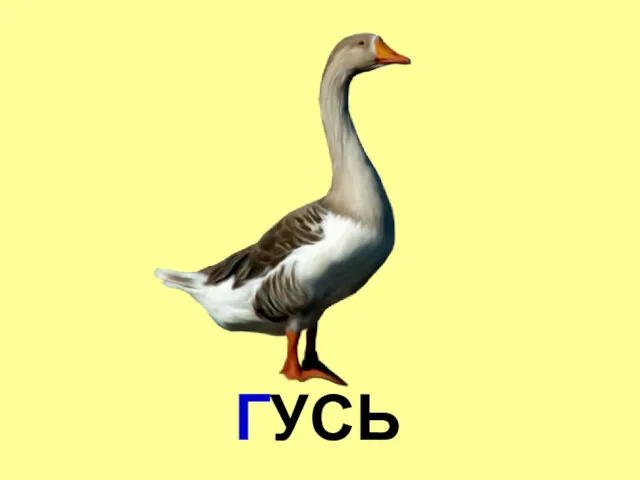 ГУСЬ