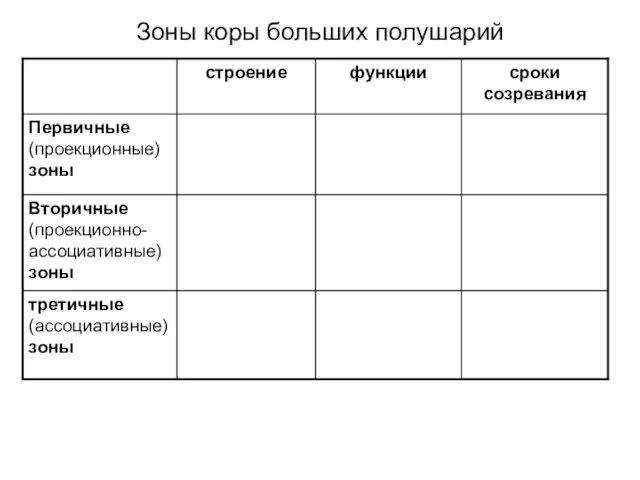 Зоны коры больших полушарий