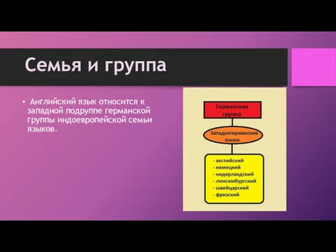 Английский язык относится к западной подруппе германской группы индоевропейской семьи языков. Семья и группа