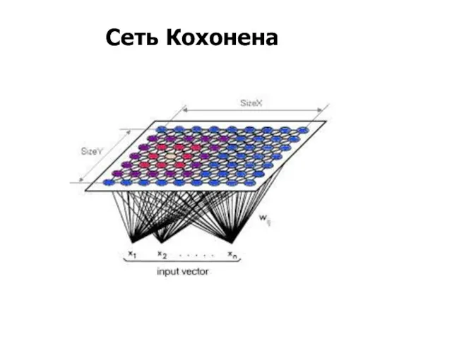 Сеть Кохонена