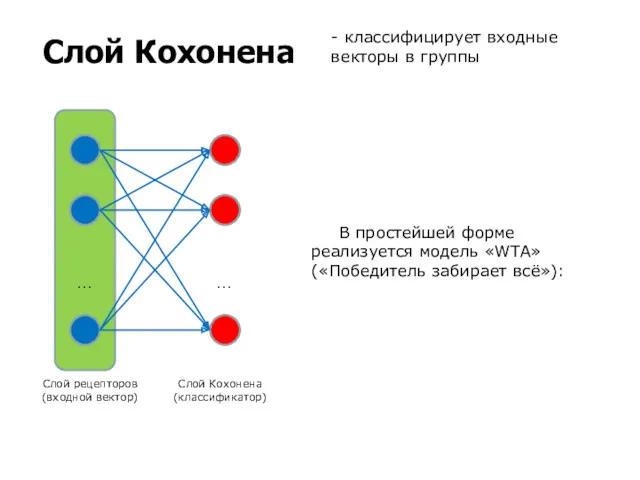 Слой Кохонена Слой рецепторов (входной вектор) Слой Кохонена (классификатор) …