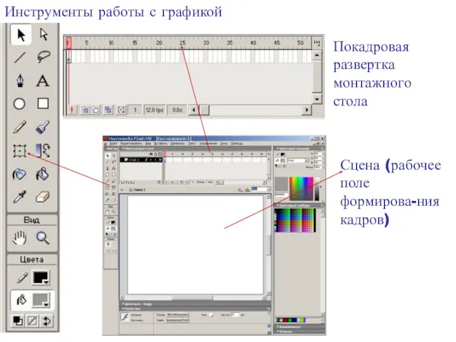 Сцена (рабочее поле формирова-ния кадров) Инструменты работы с графикой Покадровая развертка монтажного стола