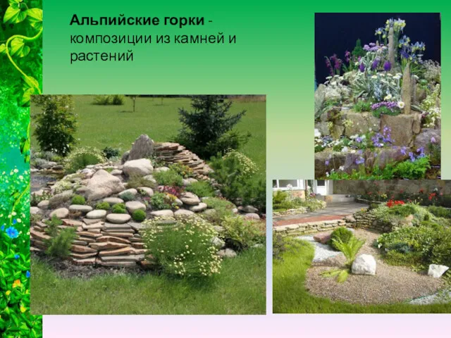 Альпийские горки - композиции из камней и растений