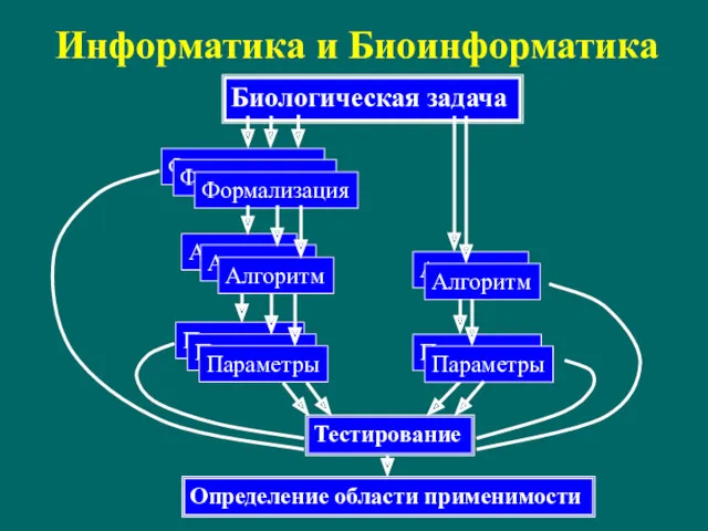 Информатика и Биоинформатика Биологическая задача Формализация Формализация Формализация Алгоритм Алгоритм