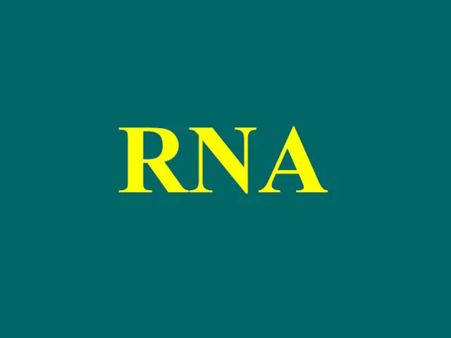 RNA