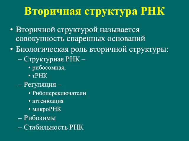 Вторичная структура РНК Вторичной структурой называется совокупность спаренных оснований Биологическая