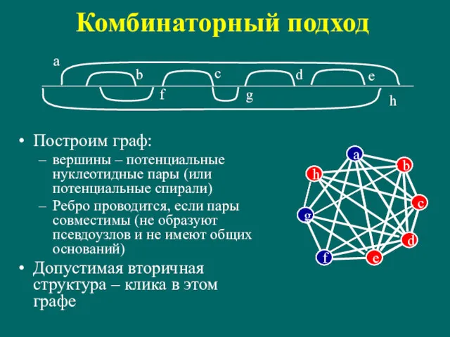 Комбинаторный подход Построим граф: вершины – потенциальные нуклеотидные пары (или