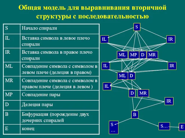 Общая модель для выравнивания вторичной структуры с последовательностью