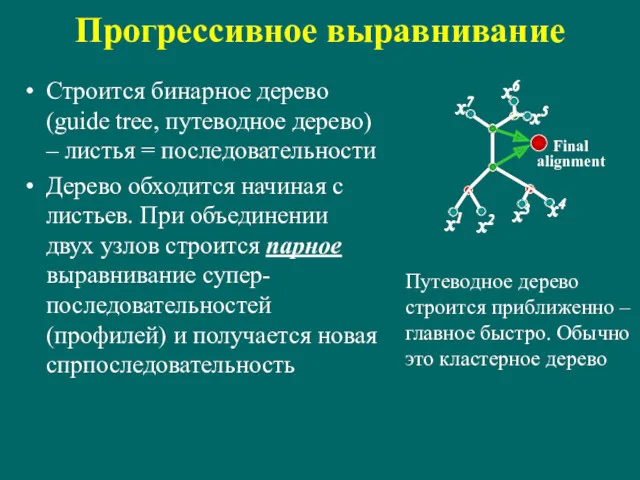 Прогрессивное выравнивание Строится бинарное дерево (guide tree, путеводное дерево) –