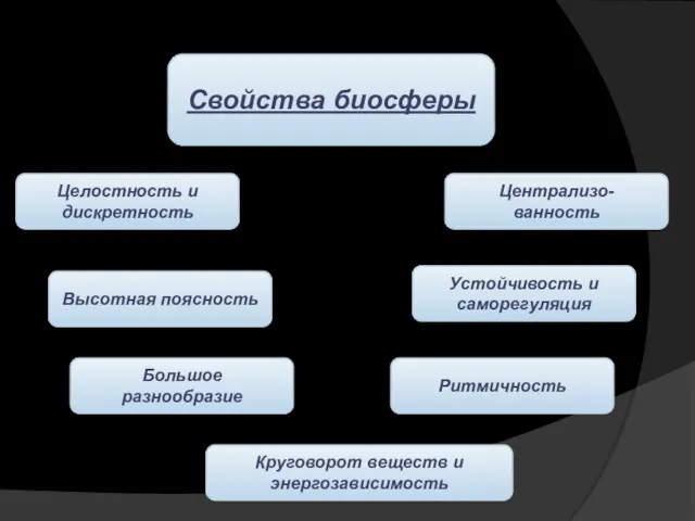 Свойства биосферы Целостность и дискретность Высотная поясность Большое разнообразие Круговорот веществ и энергозависимость