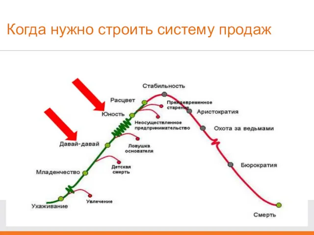 Когда нужно строить систему продаж Вы находитесь на этапе жизненного