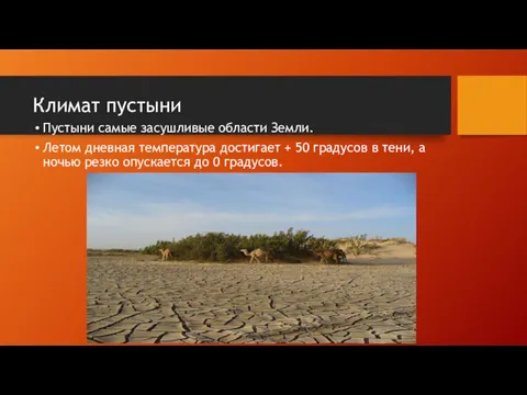 Климат пустыни Пустыни самые засушливые области Земли. Летом дневная температура