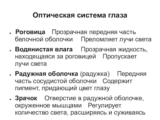 Оптическая система глаза Роговица Прозрачная передняя часть белочной оболочки Преломляет лучи света Водянистая