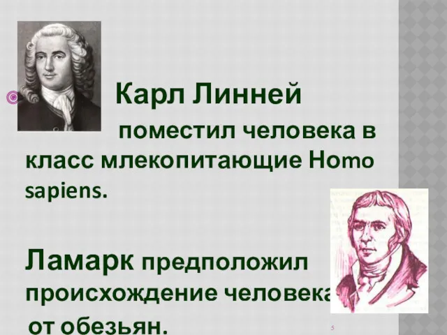 Карл Линней поместил человека в класс млекопитающие Ноmo sapiens. Ламарк предположил происхождение человека от обезьян.