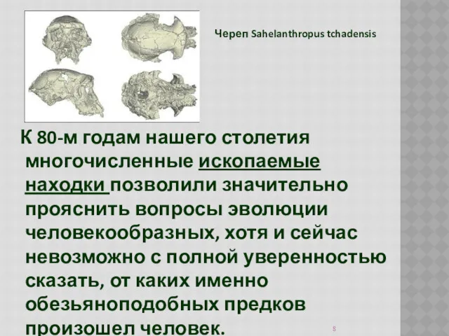 К 80-м годам нашего столетия многочисленные ископаемые находки позволили значительно