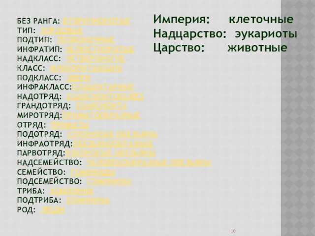 БЕЗ РАНГА: ВТОРИЧНОРОТЫЕ ТИП: ХОРДОВЫЕ ПОДТИП: ПОЗВОНОЧНЫЕ ИНФРАТИП: ЧЕЛЮСТНОРОТЫЕ НАДКЛАСС: