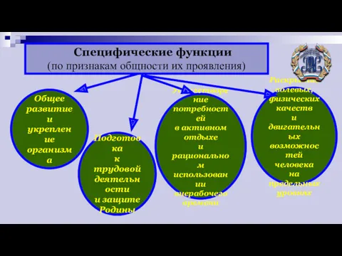 Специфические функции (по признакам общности их проявления) Общее развитие и