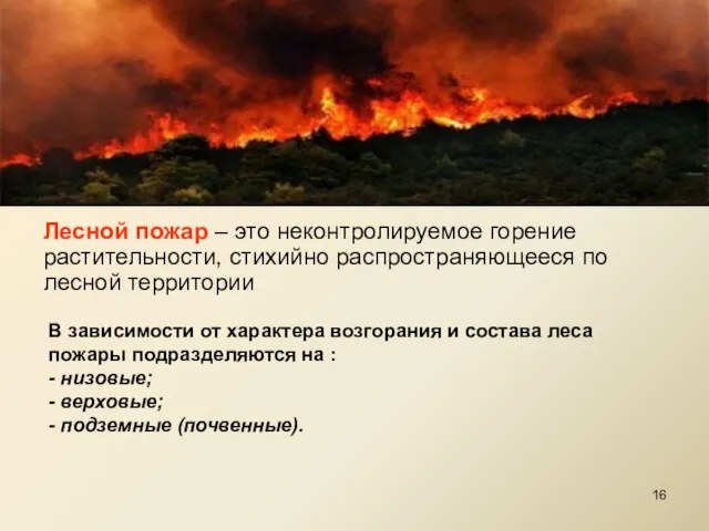 Лесной пожар – это неконтролируемое горение растительности, стихийно распространяющееся по