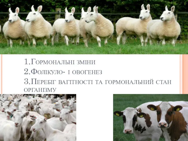 1.Гормональні зміни 2.Фолікуло- і овогенез 3.Перебіг вагітності та гормональний стан організму