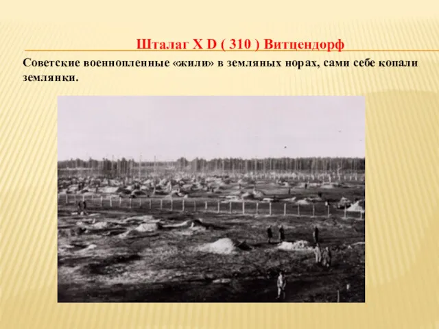 Шталаг X D ( 310 ) Витцендорф Советские военнопленные «жили»