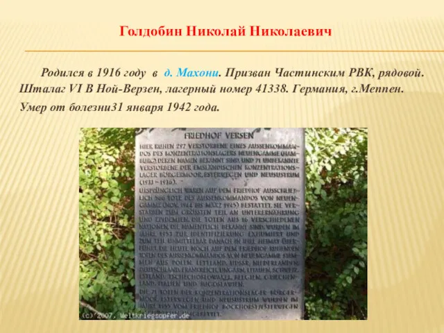 Голдобин Николай Николаевич Родился в 1916 году в д. Махони.