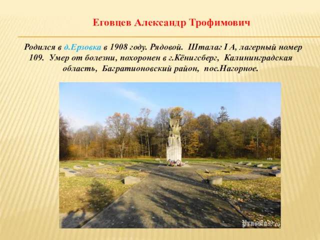 Еговцев Александр Трофимович Родился в д.Ерзовка в 1908 году. Рядовой.