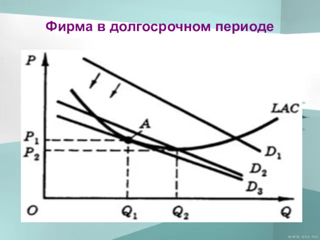 Фирма в долгосрочном периоде