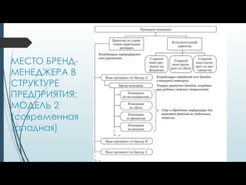 МЕСТО БРЕНД-МЕНЕДЖЕРА В СТРУКТУРЕ ПРЕДПРИЯТИЯ: МОДЕЛЬ 2 (современная западная)