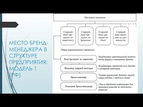 МЕСТО БРЕНД-МЕНЕДЖЕРА В СТРУКТУРЕ ПРЕДПРИЯТИЯ: МОДЕЛЬ 1 (РФ)