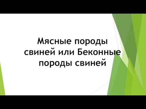 Мясные породы свиней или Беконные породы свиней