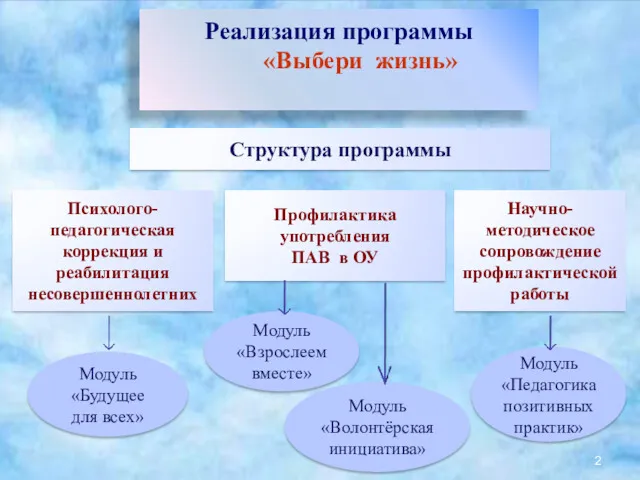 Реализация программы «Выбери жизнь» Структура программы Психолого-педагогическая коррекция и реабилитация