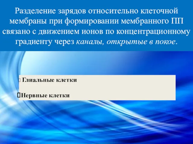 Разделение зарядов относительно клеточной мембраны при формировании мембранного ПП связано