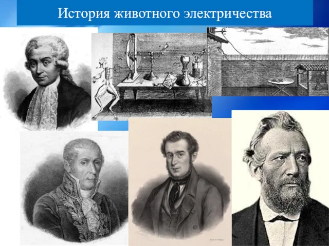 История животного электричества